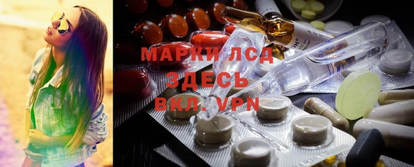 ECSTASY Магас