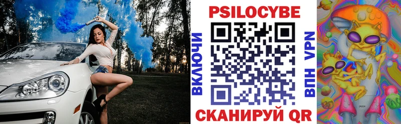 Псилоцибиновые грибы Psilocybine cubensis  Новая Усмань 